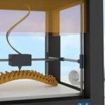 Tecnología para la regeneración de tejidos óseos: Ciencia al servicio de la recuperación estructural